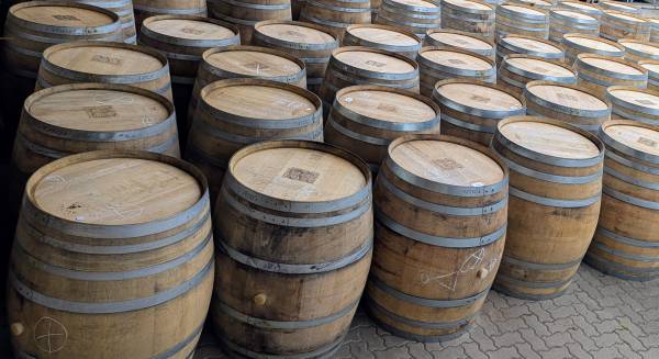 Pre used white wine barrels - french oak - 225/500 L