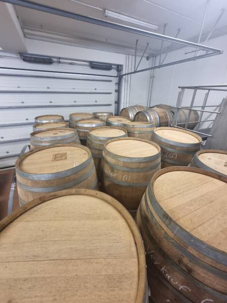 Weiß vorbelegte Tonneaux 500 Ltr: von Pfälzer Spitzen-Erzeugern
