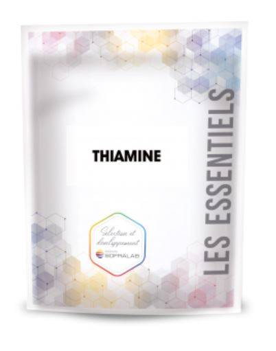 Thiamin (25 Beutel je 20 Gramm)